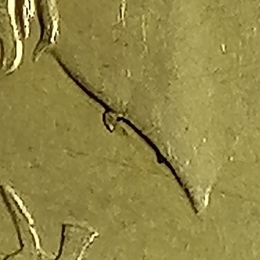 sena coins